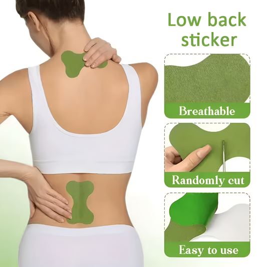 Lumbar Spine Protection Patches